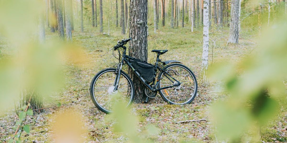 Electric bicycle leaning against a tree in a serene forest setting, showcasing nature's tranquility.