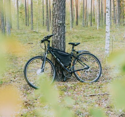 Electric bicycle leaning against a tree in a serene forest setting, showcasing nature's tranquility.