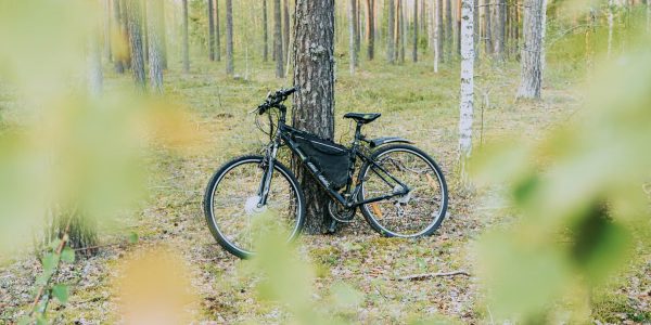 Electric bicycle leaning against a tree in a serene forest setting, showcasing nature's tranquility.