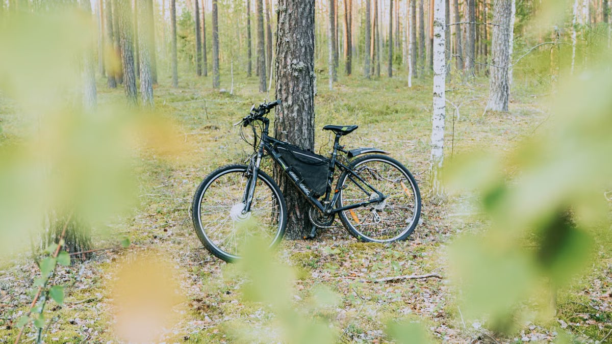Electric bicycle leaning against a tree in a serene forest setting, showcasing nature's tranquility.